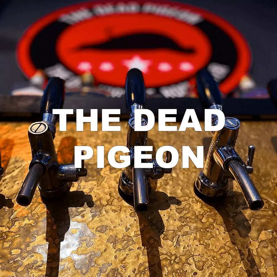Dead Pidgeon